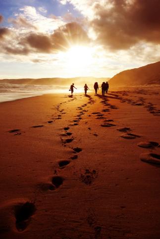 Great Ocean Walk 7 Day